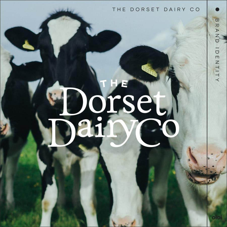 oioi-tddcidentity-cows