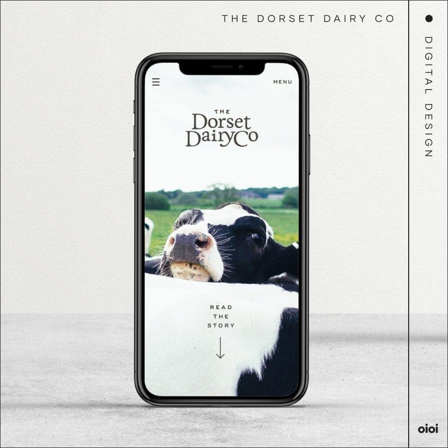 the dorset dairy co - digital design